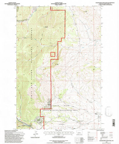 United States Geological Survey Woodhurst Mountain, MT (1995, 24000-Scale) digital map