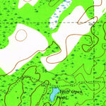 United States Geological Survey Woods, FL (1945, 24000-Scale) digital map