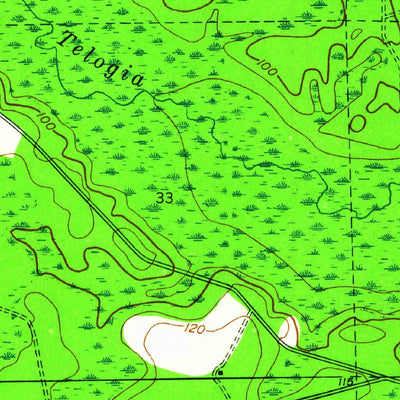 United States Geological Survey Woods, FL (1945, 24000-Scale) digital map