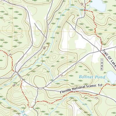 United States Geological Survey Woods, FL (2021, 24000-Scale) digital map