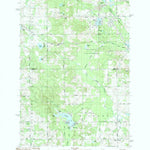 United States Geological Survey Woods, MI (1983, 25000-Scale) digital map