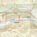United States Geological Survey Woodson Canyon, NM (2004, 24000-Scale) digital map