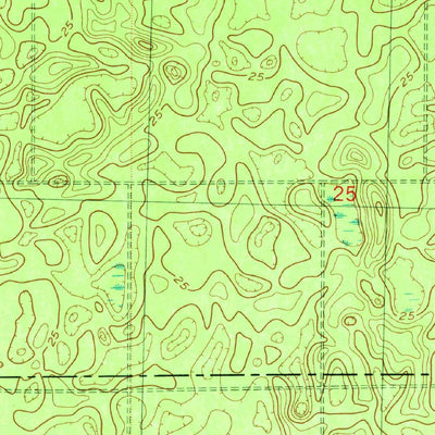 United States Geological Survey Woodville, FL (1981, 24000-Scale) digital map