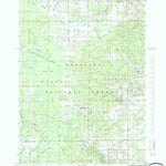 United States Geological Survey Woodville, MI (1985, 24000-Scale) digital map