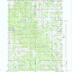 United States Geological Survey Woodville NE, MI (1985, 24000-Scale) digital map