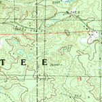 United States Geological Survey Woodville NE, MI (1985, 24000-Scale) digital map