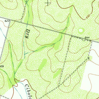 United States Geological Survey Woodward NE, TX (1974, 24000-Scale) digital map