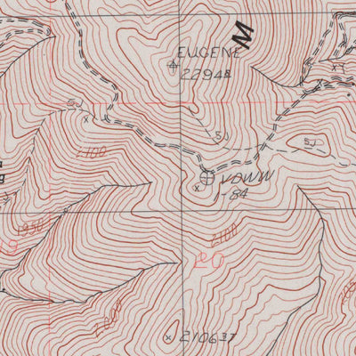 United States Geological Survey Woody Canyon, NV (1982, 24000-Scale) digital map