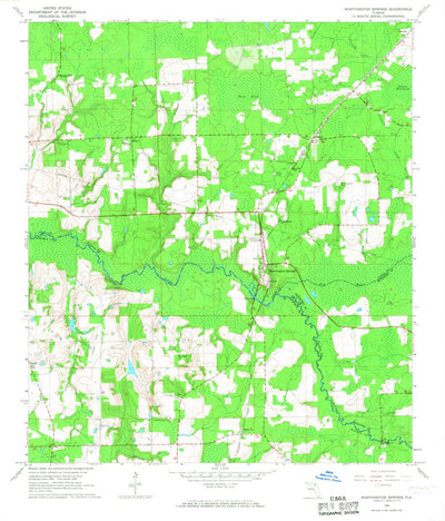 Worthington Springs, FL (1966, 24000-Scale) Preview 1