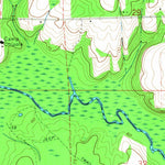United States Geological Survey Worthington Springs, FL (1966, 24000-Scale) digital map