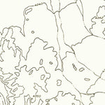 United States Geological Survey Wupatki NE, AZ (1955, 24000-Scale) digital map