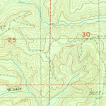 United States Geological Survey Wynoochee Valley SW, WA (1990, 24000-Scale) digital map
