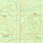 United States Geological Survey Wynoochee Valley SW, WA (1990, 24000-Scale) digital map