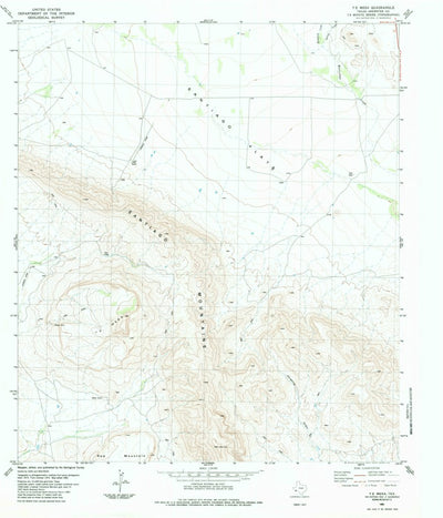 United States Geological Survey Y E Mesa, TX (1983, 24000-Scale) digital map