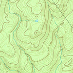 United States Geological Survey Yankee Lake, NY (1966, 24000-Scale) digital map