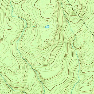 United States Geological Survey Yankee Lake, NY (1966, 24000-Scale) digital map