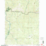 United States Geological Survey Yellow Pine, ID (2004, 24000-Scale) digital map
