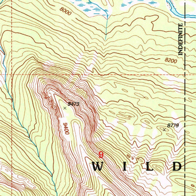 United States Geological Survey Yellowstone Point, WY (1996, 24000-Scale) digital map