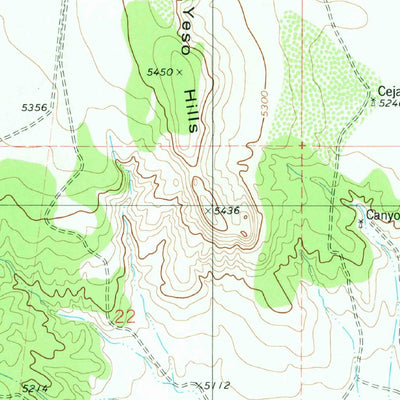 United States Geological Survey Yeso Mesa, NM (1981, 24000-Scale) digital map