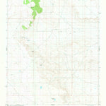 United States Geological Survey Yeso Mesa SE, NM (1981, 24000-Scale) digital map