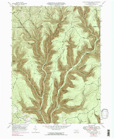 United States Geological Survey Young Womans Creek, PA (1946, 24000-Scale) digital map
