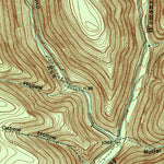 United States Geological Survey Young Womans Creek, PA (1946, 24000-Scale) digital map