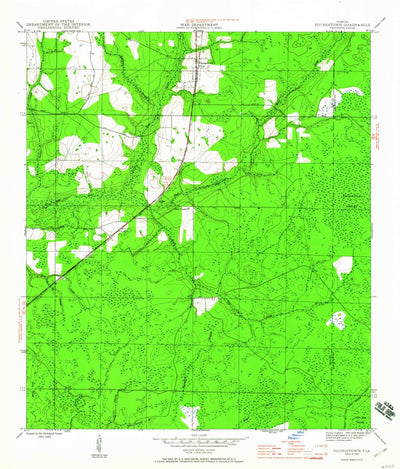 United States Geological Survey Youngstown, FL (1945, 24000-Scale) digital map