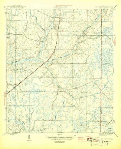 United States Geological Survey Youngstown, FL (1945, 31680-Scale) digital map