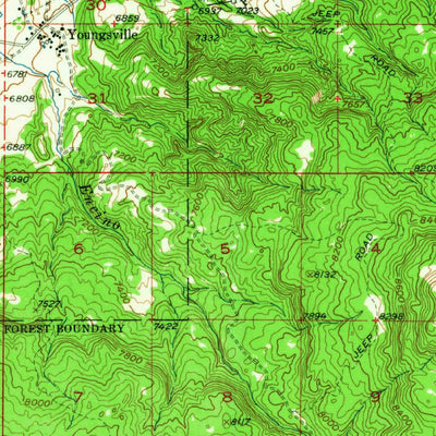 United States Geological Survey Youngsville, NM (1953, 62500-Scale) digital map