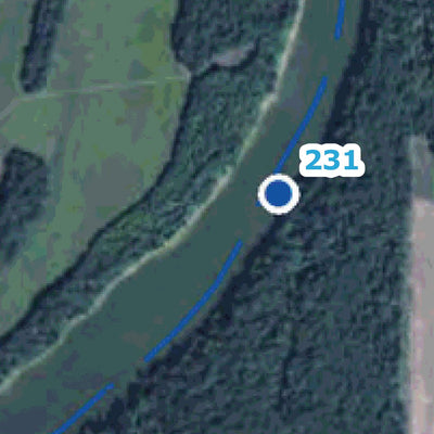 US Army Corps of Engineers Alabama River Navigation Chart 35 (Mile 227.6 - 235.4) digital map