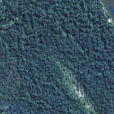 US Army Corps of Engineers Alabama River Navigation Chart 9 (Mile 58.3 - 65.4) digital map