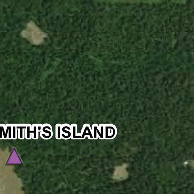 US Army Corps of Engineers Black Warrior-Tombigbee River Navigation Chart 25 (Mile 181.1 - 193.1) digital map