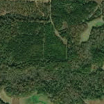 US Army Corps of Engineers Black Warrior-Tombigbee River Navigation Chart 33 (Mile 249.8 - 260.1) digital map
