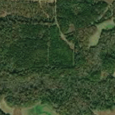 US Army Corps of Engineers Black Warrior-Tombigbee River Navigation Chart 33 (Mile 249.8 - 260.1) digital map