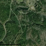 US Army Corps of Engineers Black Warrior-Tombigbee River Navigation Chart 49 (Mile 382.3 - 388.3/390.3) digital map