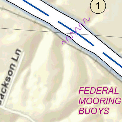 US Army Corps of Engineers Cumberland River Chart 16 - Corbandale, TN and Palmyra, TN digital map