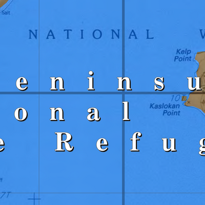 Alaska Maritime NWR (AKM-102 - #102 of 183) Preview 2