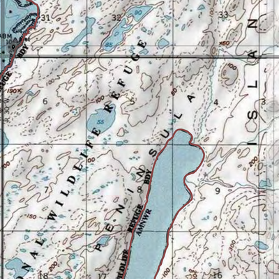 Alaska Maritime NWR (AKM-156 - #156 of 183) Preview 3