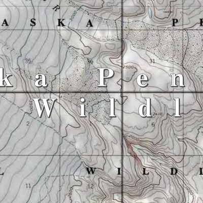 Alaska Peninsula NWR (AKP-17 - #17 of 35) Preview 2