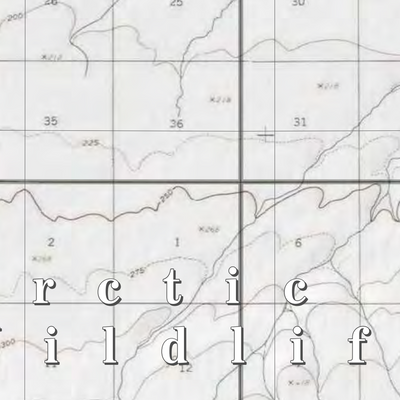 Arctic NWR (ARC-05 - #5 of 73) Preview 2