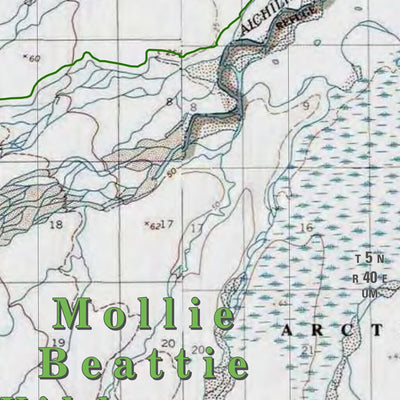 Arctic NWR (ARC-08 - #8 of 73) Preview 3