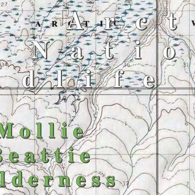 Arctic NWR (ARC-15 - #15 of 73) Preview 2