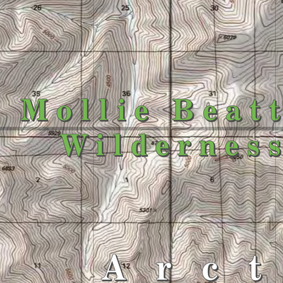 Arctic NWR (ARC-21 - #21 of 73) Preview 2
