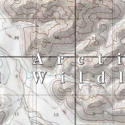 Arctic NWR (ARC-25 - #25 of 73) Preview 2
