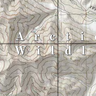 Arctic NWR (ARC-26 - #26 of 73) Preview 2