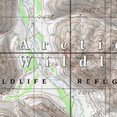 Arctic NWR (ARC-27 - #27 of 73) Preview 2