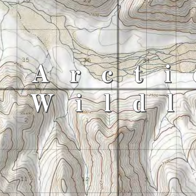 Arctic NWR (ARC-34 - #34 of 73) Preview 2