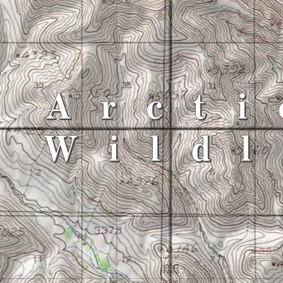 Arctic NWR (ARC-36 - #36 of 73) Preview 2