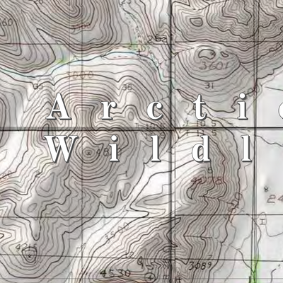 Arctic NWR (ARC-37 - #37 of 73) Preview 2