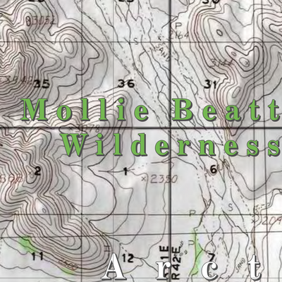 Arctic NWR (ARC-40 - #40 of 73) Preview 2